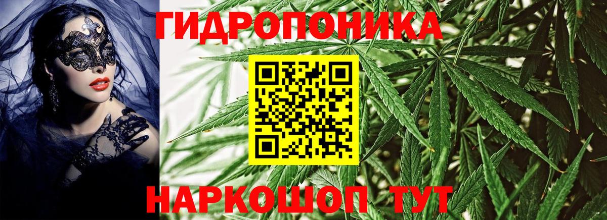 Конопля конопля Рославль